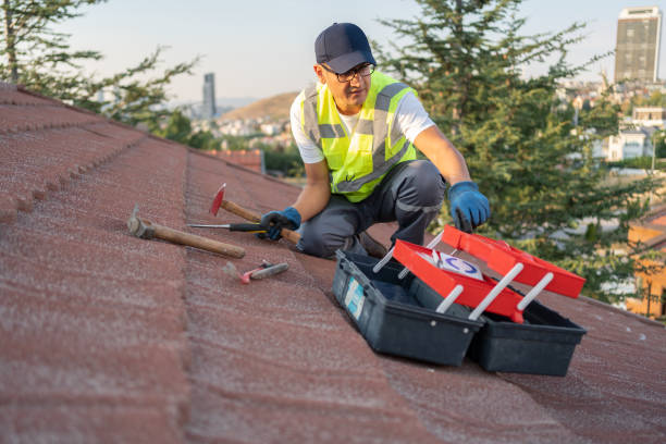 Trusted Fruit Cove, FL Siding Installation & Repair Experts