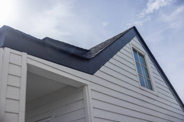 Best Custom Trim and Detailing for Siding  in Fruit Cove, FL